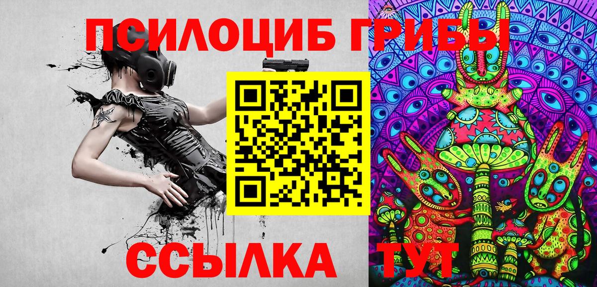 Галлюциногенные грибы Psilocybe  Вход с VPN  Назрань 